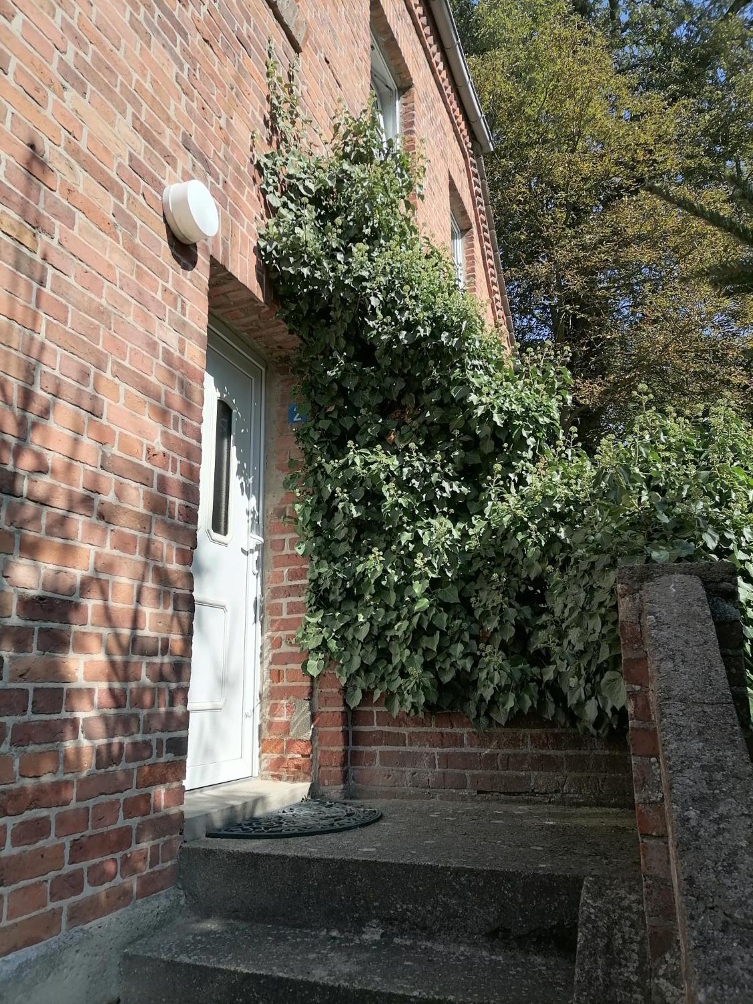 Gutshaus Daemelow Tussen Schwerin En Wismar Exterior foto